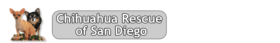 Chihuahua Rescue of San Diego