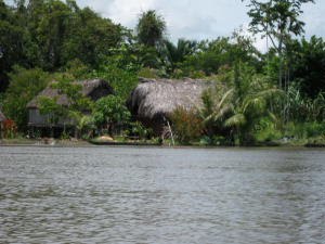 [Sepik2.JPG]