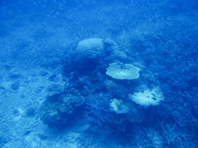 [IMG_0602_2.JPG]