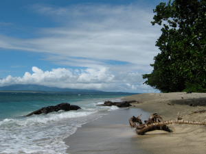 [IMG_2493.JPG]