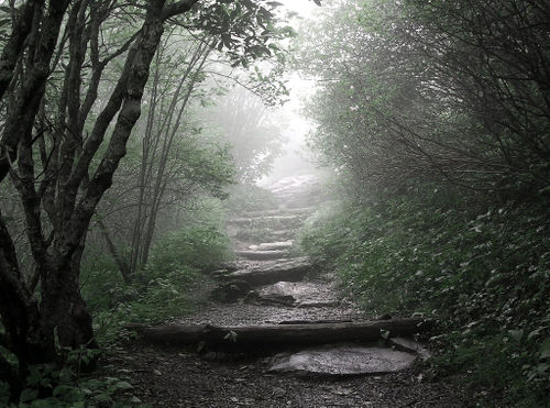 [misty.jpg]