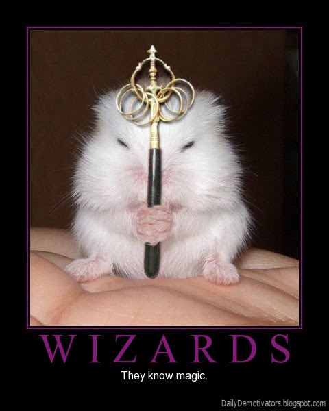 Конкурс цитата о магии  - Страница 2 Wizards-demotivational-poster