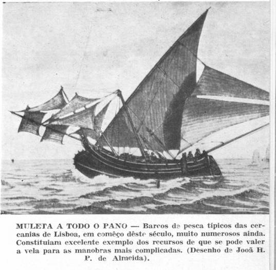 [muleta2.jpg]