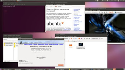 Ubuntu 10.10