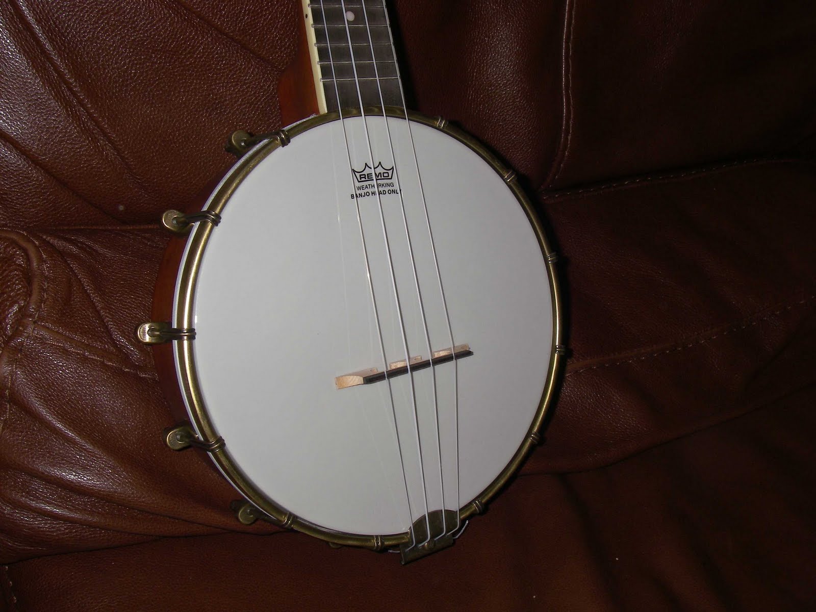 Ozark banjo uke initial review