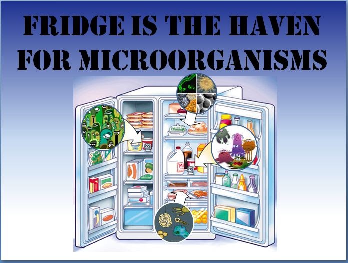 Awesome Enough Fridge is haven for microbes...