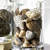 Decorar com conchas