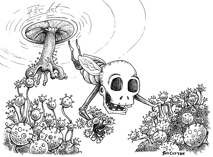 giant underground mushroom