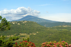 Majestic Mont Ventoux