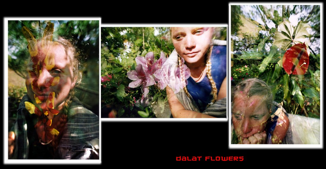 [047-dalat+flowers.jpg]