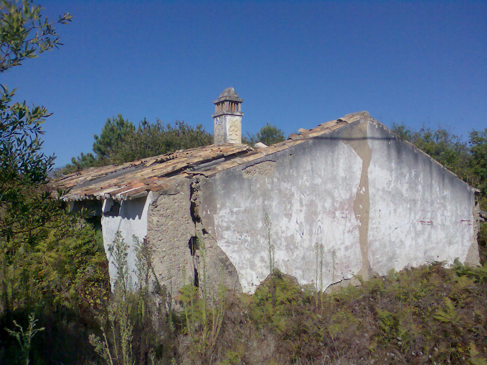[Img138.jpg]
