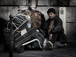 [250px-P7032101_small2.jpg]