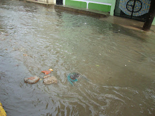 Floods on 16th September 2010 at Old City Hyderabad