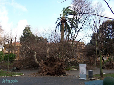 Jardines de Curros Enríquez (Campo Volante)