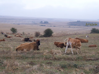 Paisaje en el camino a Agés