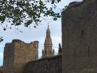 Vista parcial de las murallas