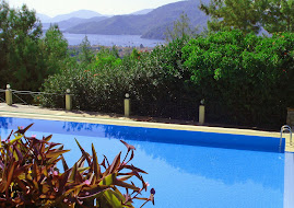 The Pool