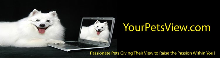 Your Pets View