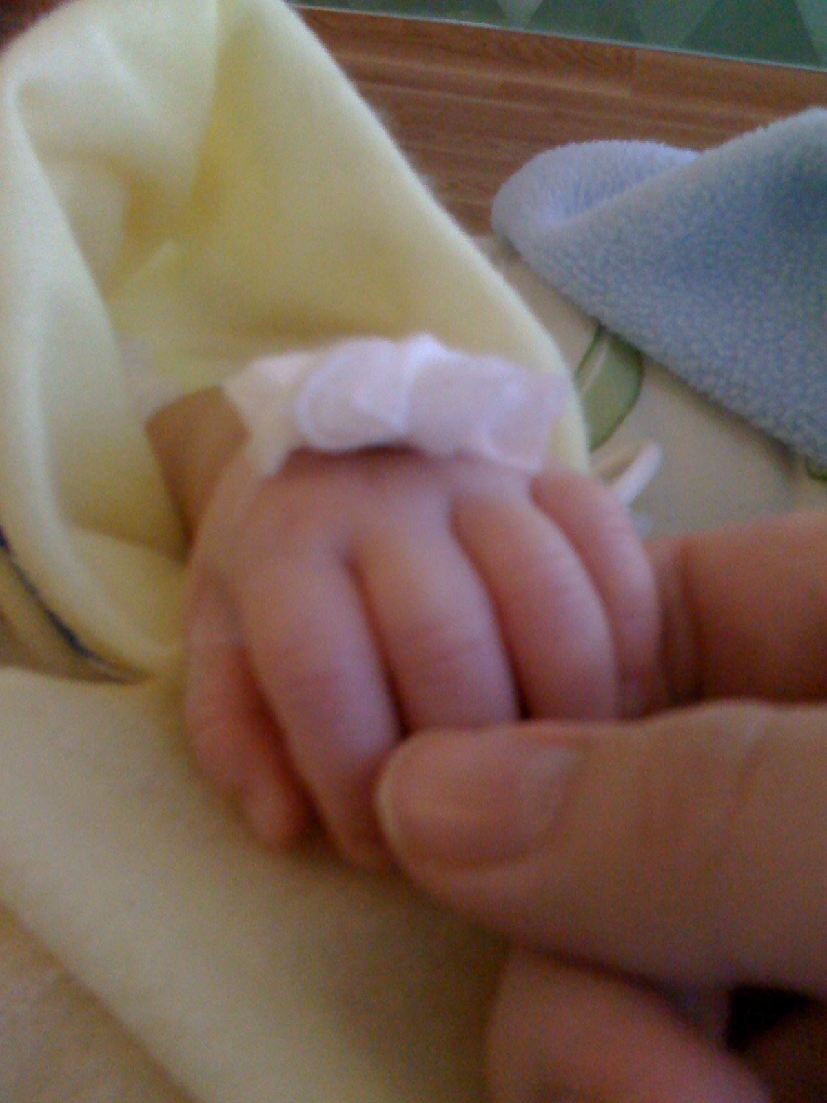 [IMG_0322+copy.JPG]
