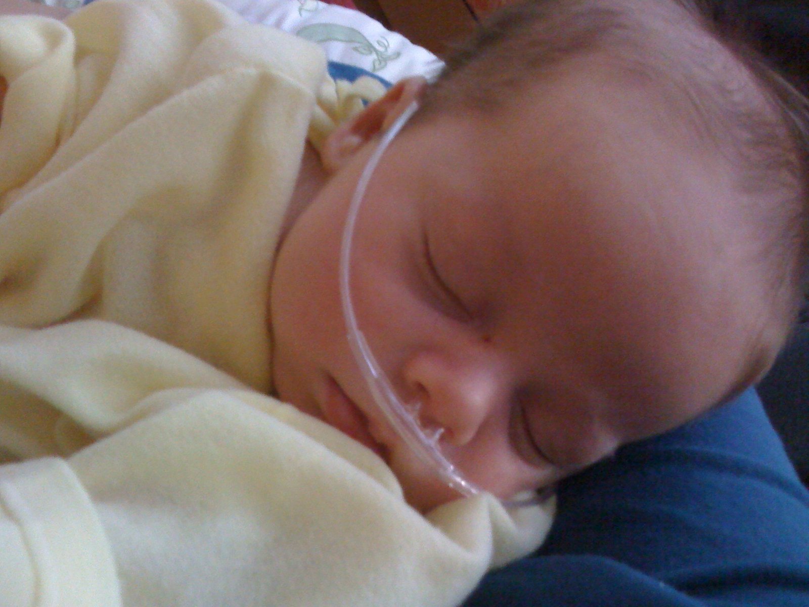[IMG_0326+copy.JPG]