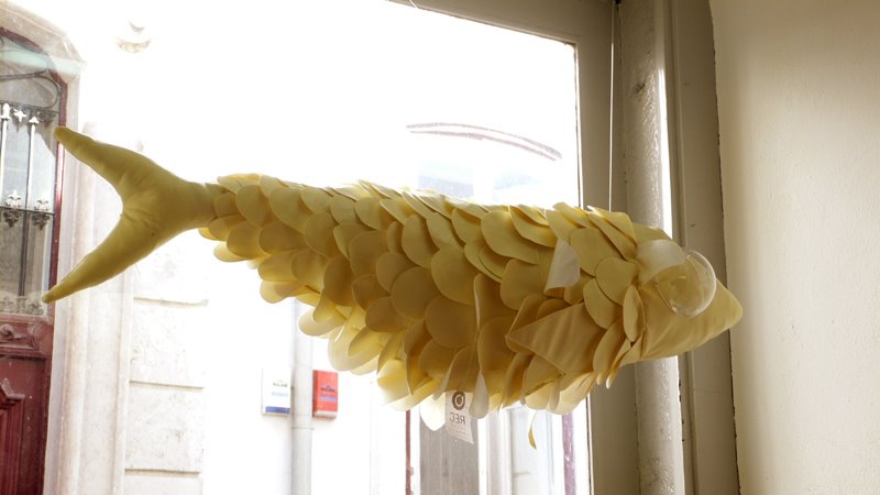 [L1220196.jpg]