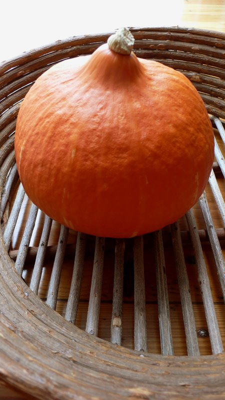 [L1220300.jpg]