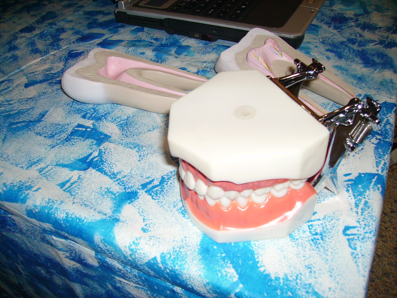 [PICT0140.JPG]