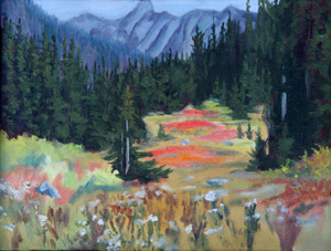 RAINY PASS MEADOW