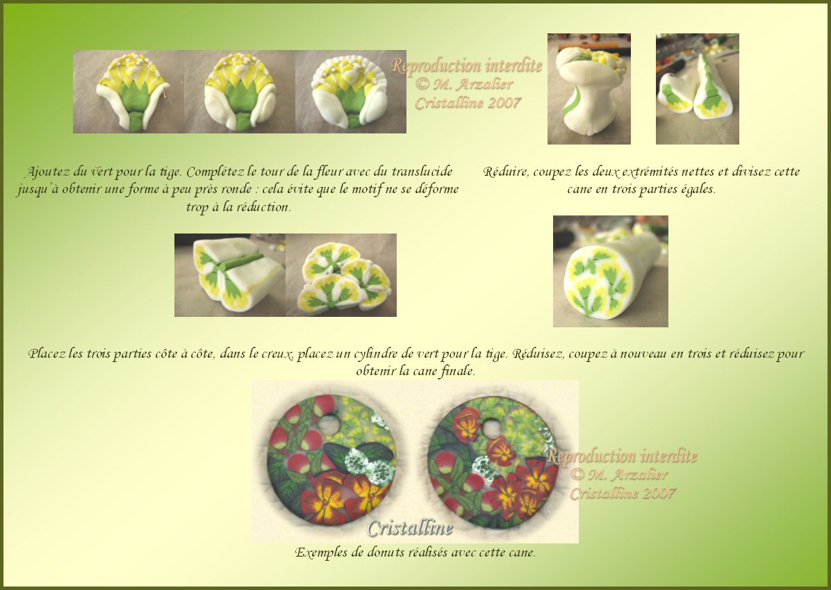 [tuto_fleurchamp2.jpg]