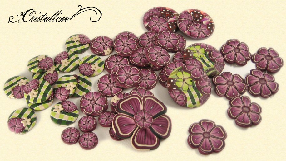 [fleurs-prunes.JPG]