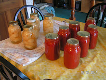 Pears and Tomato Sauce 2007