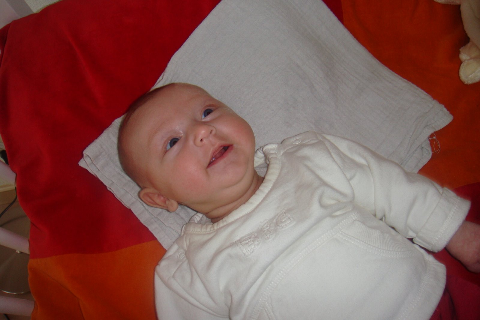 [DSC00972.JPG]