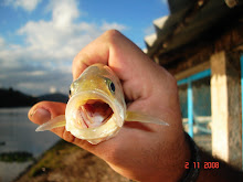 EL PESCADOR DE ILUSIONES