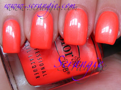 http://1.bp.blogspot.com/_3QwOQ9KkdW8/SdTf5ouIChI/AAAAAAAADN4/Ys1boMvqp_Y/s400/tangerinescream2.jpg