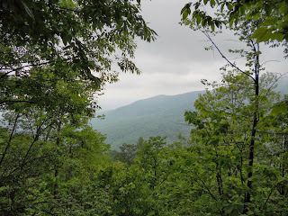 Robertson Mountain Trail