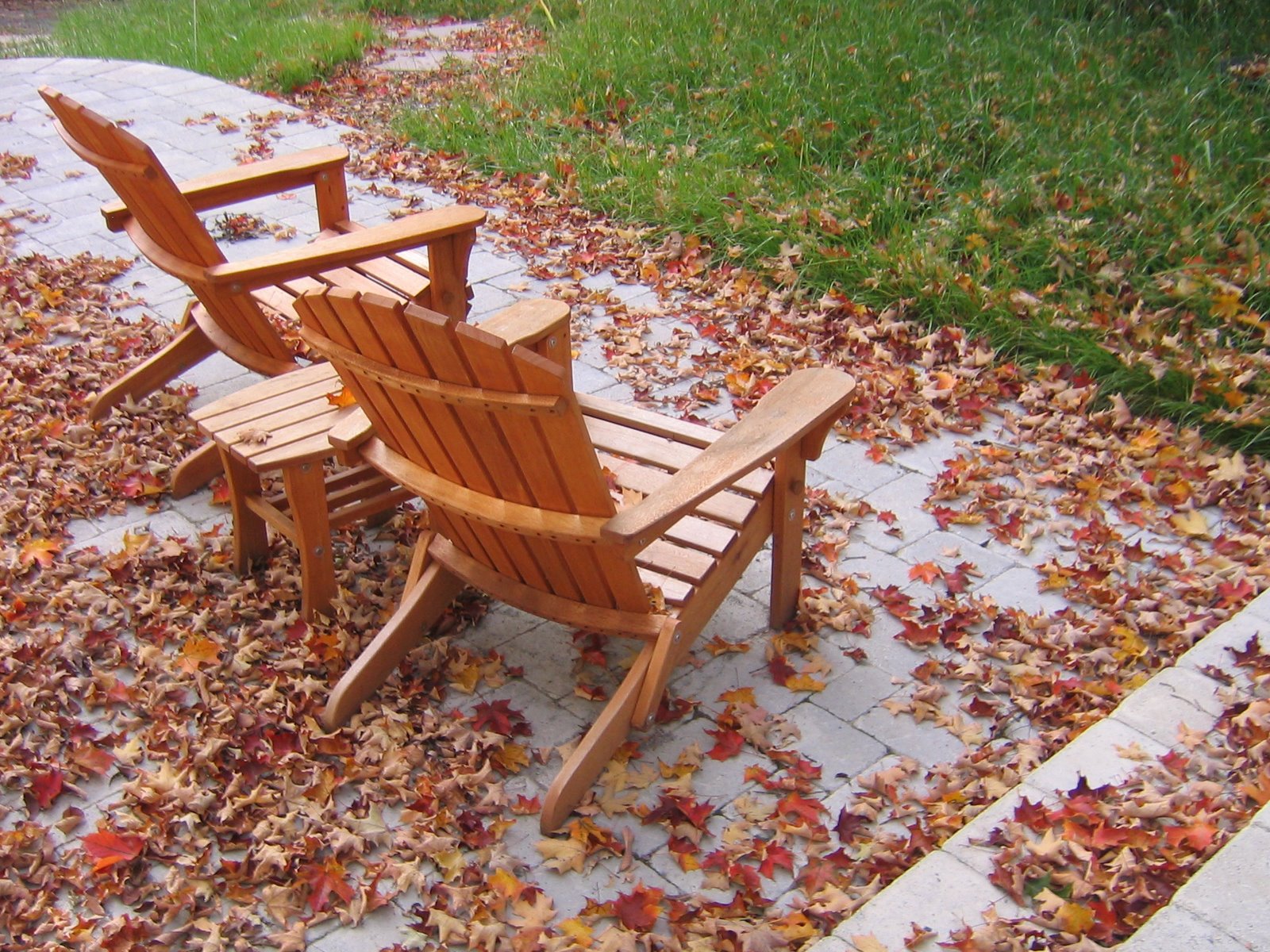 [McDevitt+leaves.jpg]