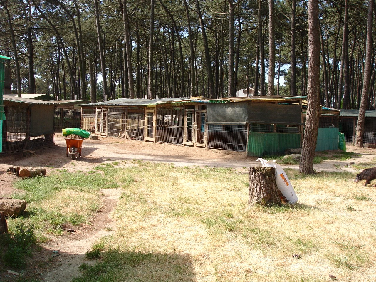[DSC09398.JPG]