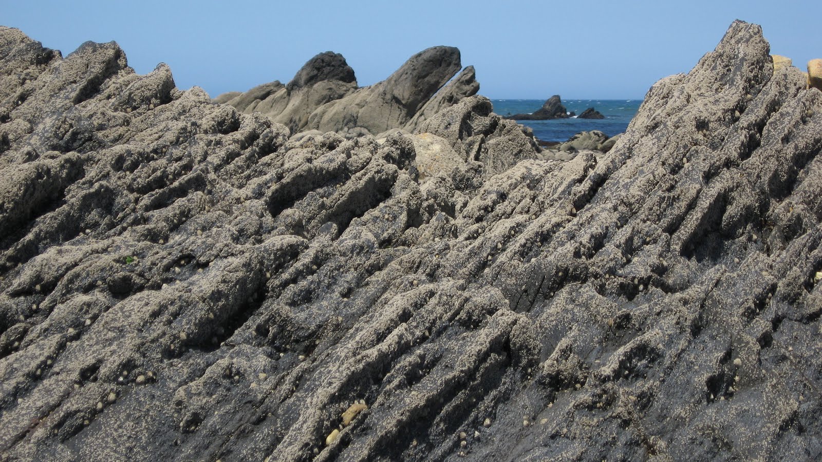[IMG_5255.JPG]