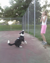 Playing ball in the Tennis court