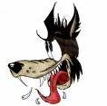 [lobo.jpg]
