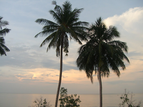 Panorama Indah di Brindley Training Camp