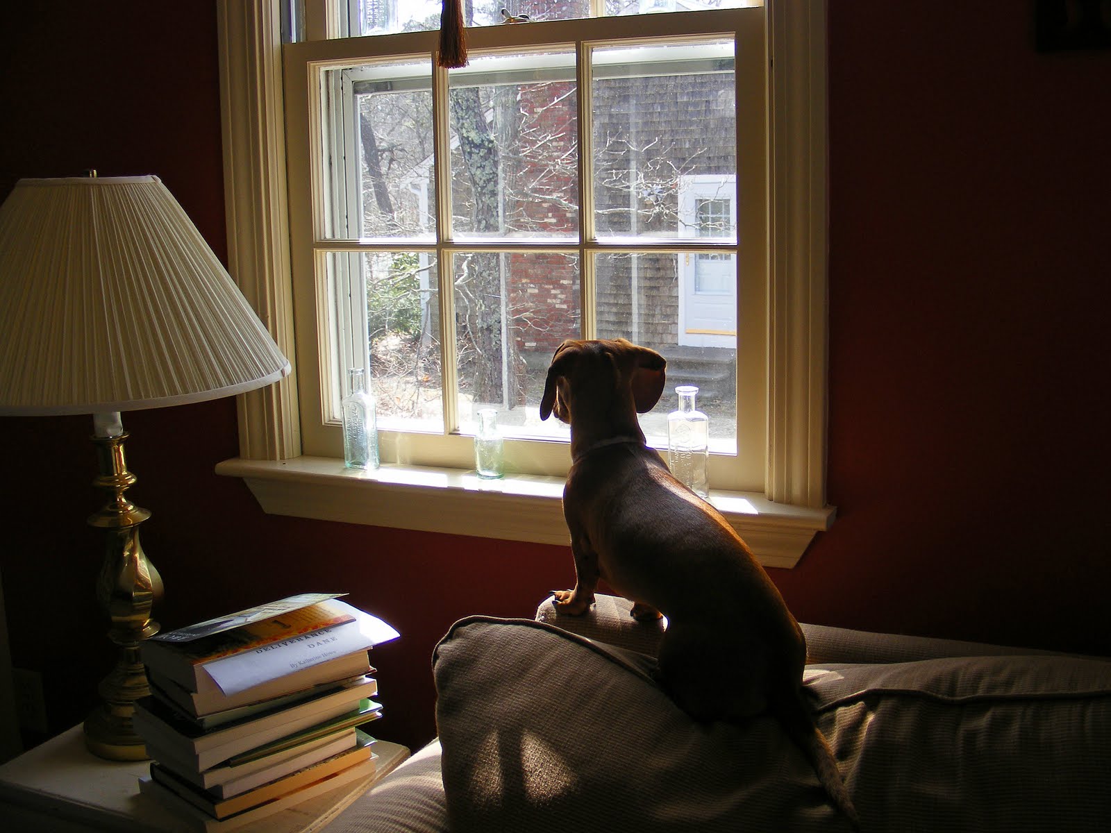 Looking In Window