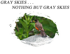 GRAY SKIES - - - NOTHING BUT GRAY SKIES