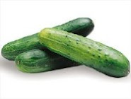 Mentimun/Cucumber