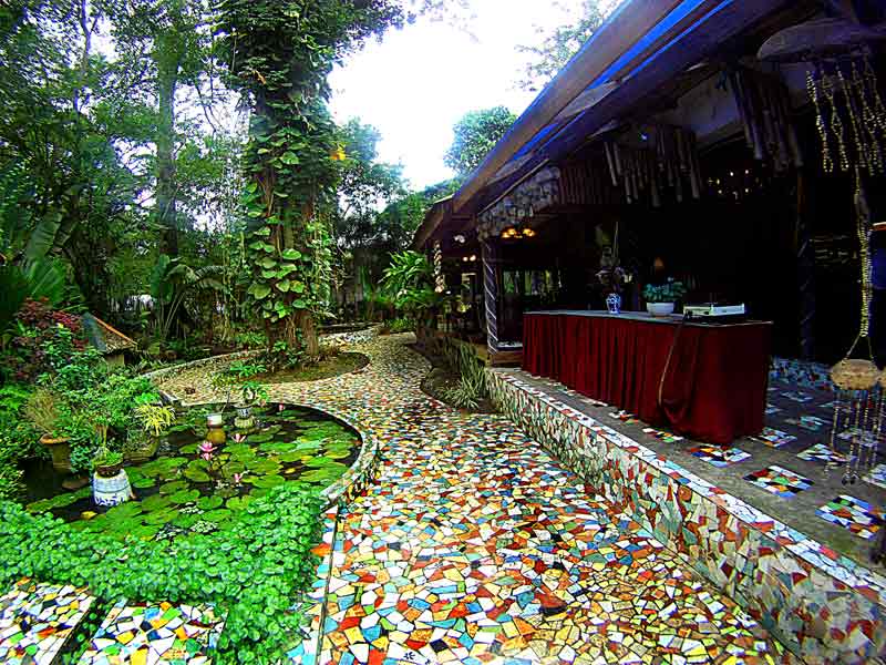 Some Info About Lotus Garden Restaurant Provo Ut