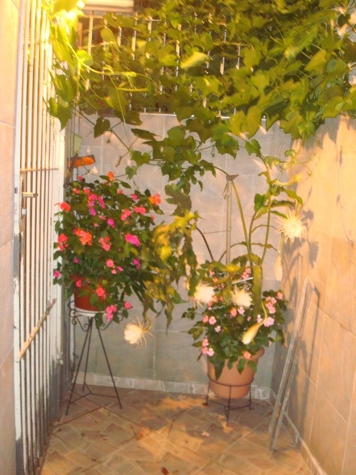 [DSC05303.JPG]