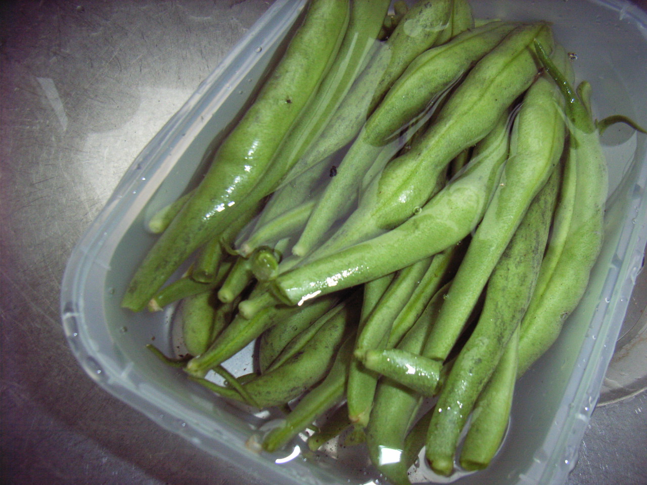 Lemon Curdable Beans, Bean, Bean, Bean, Beans, Beans, French Dwarf Beans!