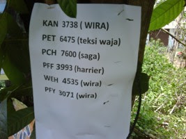 pengundi Hantu, phantom voters