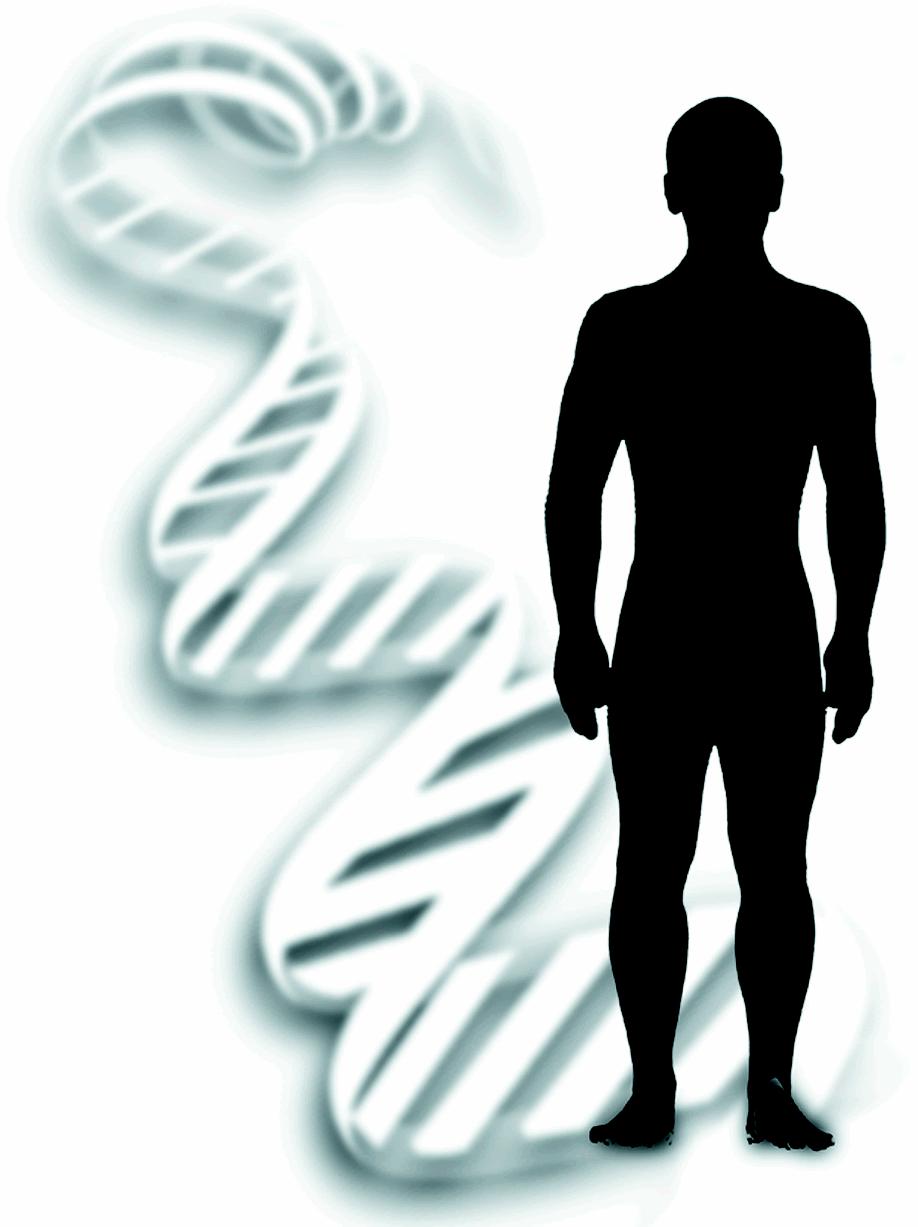 [Human+with+DNA+Shadow.jpg]