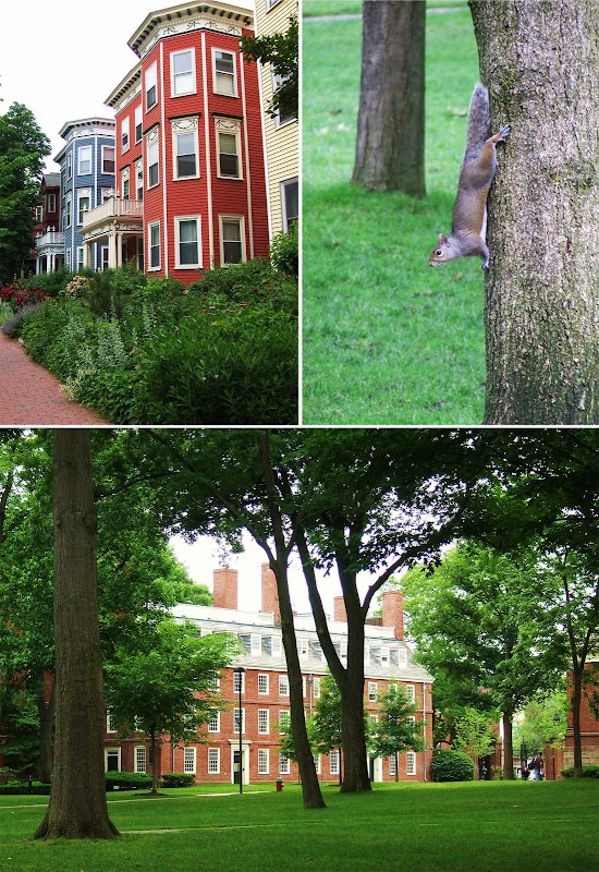 [harvard.jpg]